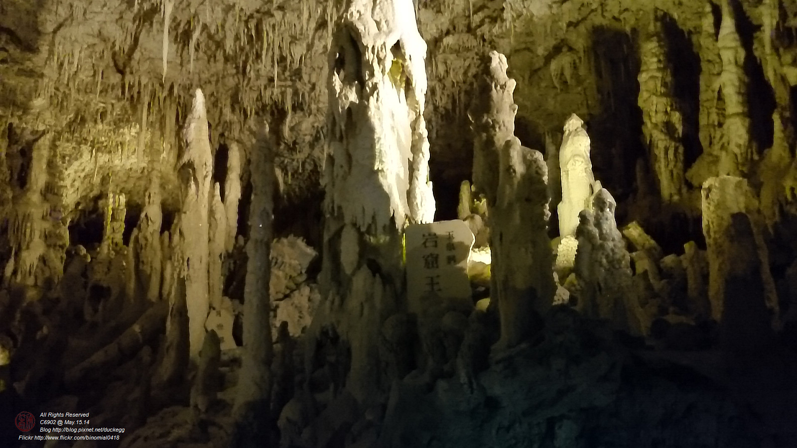 DSC_2960.jpg